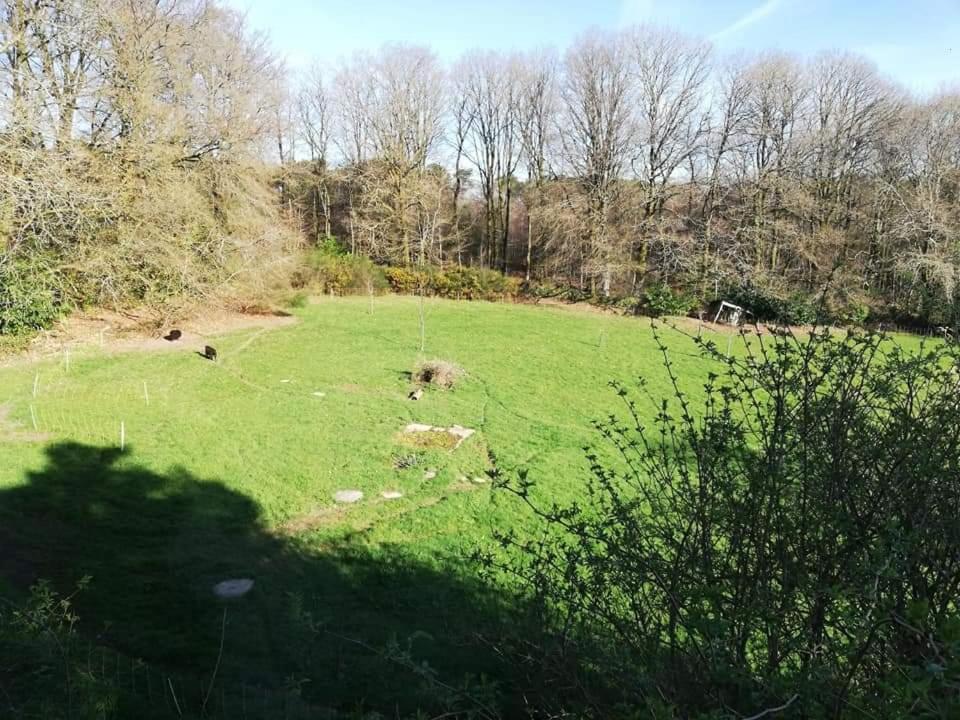 Hotel Manoir Du Tertre Au Coeur De La Foret De Broceliande Paimpont Exteriér fotografie