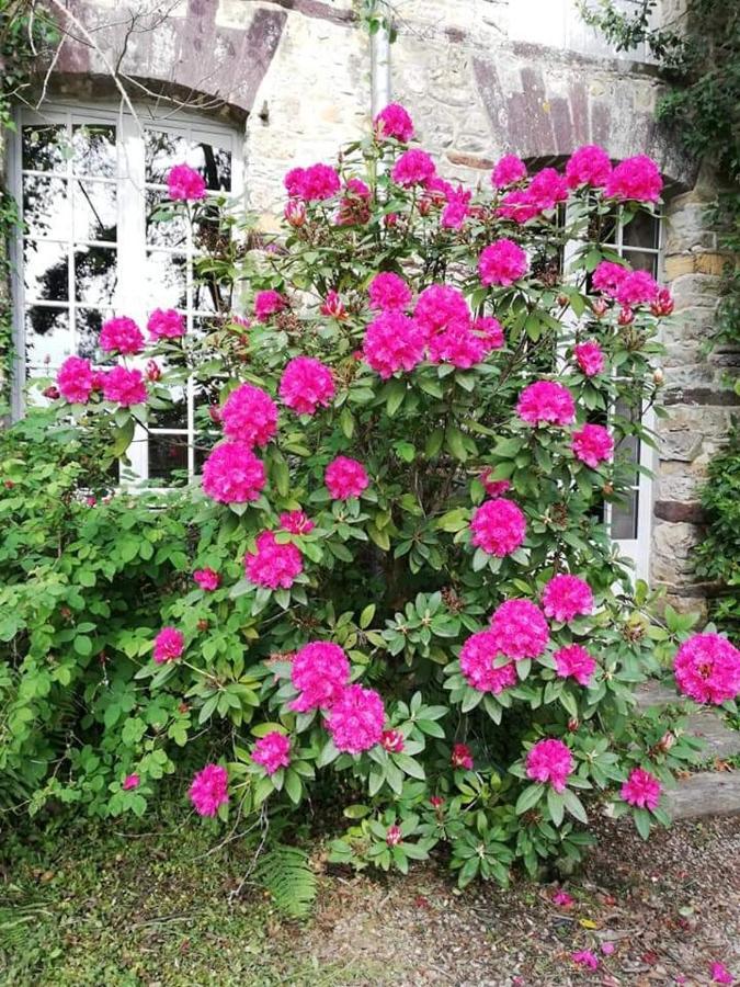 Hotel Manoir Du Tertre Au Coeur De La Foret De Broceliande Paimpont Exteriér fotografie