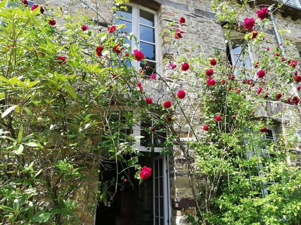 Hotel Manoir Du Tertre Au Coeur De La Foret De Broceliande Paimpont Exteriér fotografie